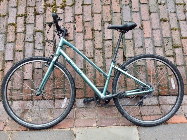 ridgeback comet 2020